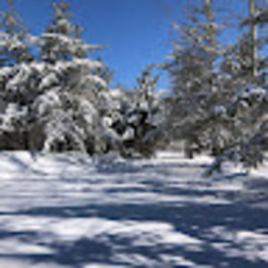 Meet your Posher, Karla